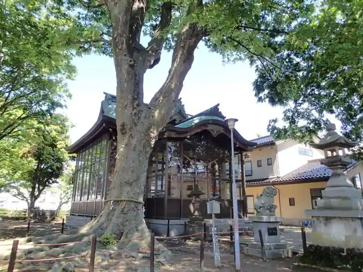 神田神社の本殿・本堂