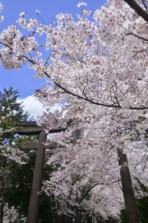冨士御室浅間神社(山梨県)