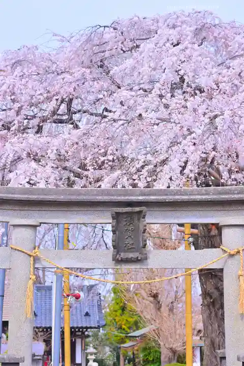 栗谷須賀神社(神奈川県)