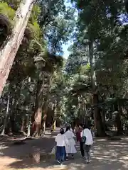 鹿島神宮(茨城県)