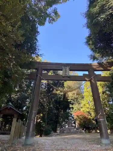 土田白鬚神社の鳥居