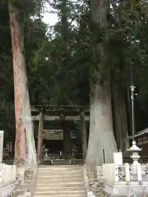 室生龍穴神社の鳥居
