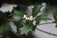 愛宕神社の周辺