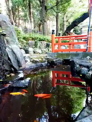 熊野神社(東京都)