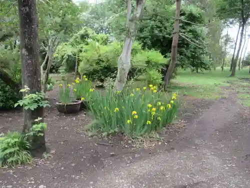 海雲寺(群馬県)