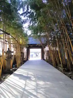 梅窓院(東京都)