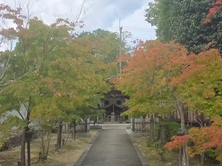 仁和寺(京都府)