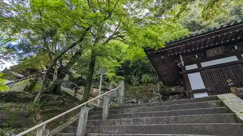 知恩院(京都府)