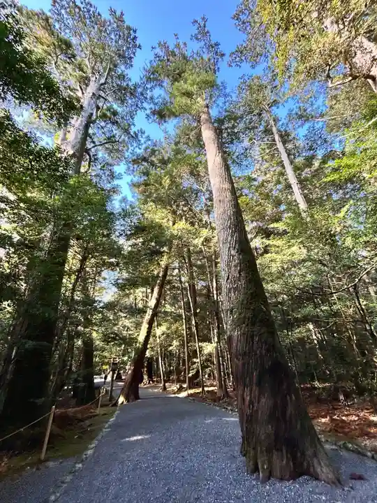 瀧原宮(皇大神宮別宮)(三重県)