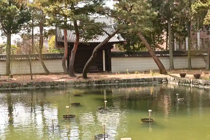 相国寺(相国承天禅寺)(京都府)