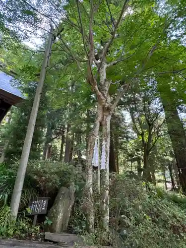 河口浅間神社(山梨県)