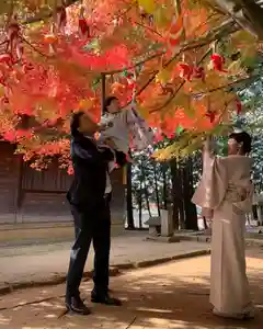 滑川神社 - 仕事と子どもの守り神(福島県)(2024年11月16日(土) 23時25分56秒投稿)