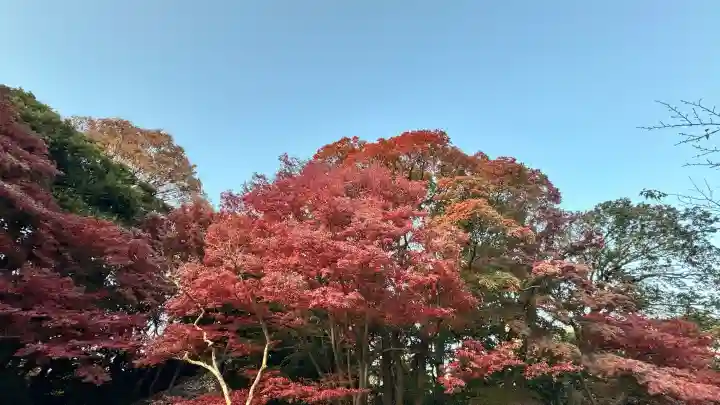【閉業】小石川大神宮の{uncategorized: "未分類", other: "その他", undefined: "問題あり", building: "その他建物", grave: "お墓", sacred_gate: "鳥居", guardian: "狛犬", statue: "像", buddha: "仏像", history: "歴史", nature: "自然", garden: "庭園", animal: "動物", pagoda: "塔", temizu: "手水舎", mountain_gate: "山門・神門", sanctuary: "本殿・本堂", subordinate: "末社・摂社", art: "芸術", scenery: "景色", jizo: "地蔵", ema: "絵馬", goshuin: "御朱印", omikuji: "おみくじ", items: "授与品その他", amulet: "お守り", goshuincho: "御朱印帳", eats: "食事", festival: "お祭り", votive_dance: "神楽", shichigosan: "七五三参", wedding: "結婚式", experience: "体験その他", initially: "初詣", around: "周辺", anti_infection: "感染症対策"}