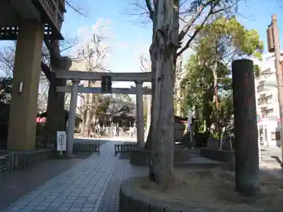 亀岡八幡宮(亀岡八幡神社)(神奈川県)