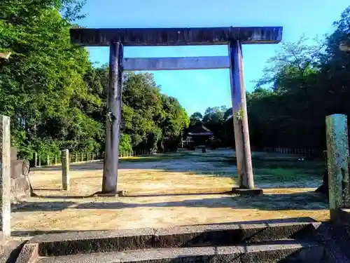 諏訪神社（佐布里諏訪神社）の鳥居