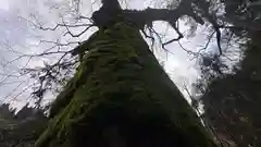 那岐神社(鳥取県)