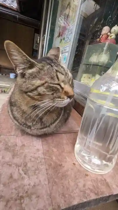 福住寺(愛知県)