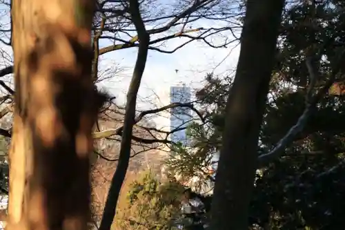 阿久津「田村神社」（郡山市阿久津町）旧社名：伊豆箱根三嶋三社の周辺