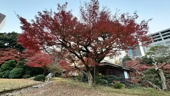 【閉業】小石川大神宮の{uncategorized: "未分類", other: "その他", undefined: "問題あり", building: "その他建物", grave: "お墓", sacred_gate: "鳥居", guardian: "狛犬", statue: "像", buddha: "仏像", history: "歴史", nature: "自然", garden: "庭園", animal: "動物", pagoda: "塔", temizu: "手水舎", mountain_gate: "山門・神門", sanctuary: "本殿・本堂", subordinate: "末社・摂社", art: "芸術", scenery: "景色", jizo: "地蔵", ema: "絵馬", goshuin: "御朱印", omikuji: "おみくじ", items: "授与品その他", amulet: "お守り", goshuincho: "御朱印帳", eats: "食事", festival: "お祭り", votive_dance: "神楽", shichigosan: "七五三参", wedding: "結婚式", experience: "体験その他", initially: "初詣", around: "周辺", anti_infection: "感染症対策"}