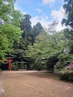 澳津説神社(茨城県)