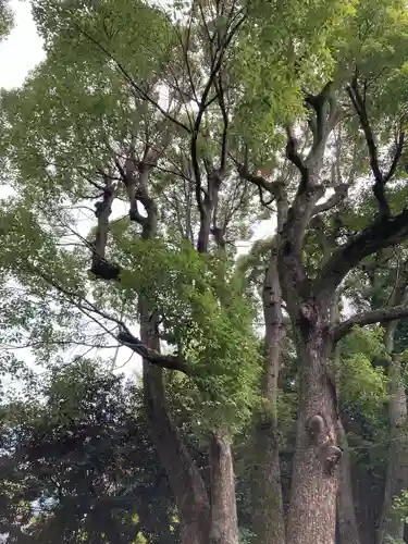 渋谷氷川神社(東京都)