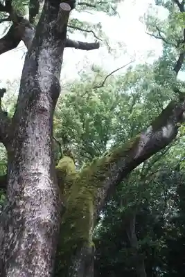 伊弉諾神宮(兵庫県)
