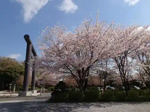 櫻木神社の自然