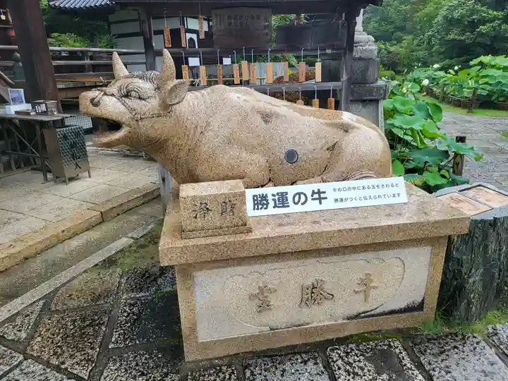 三室戸寺(京都府)