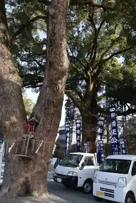 加藤神社(熊本県)