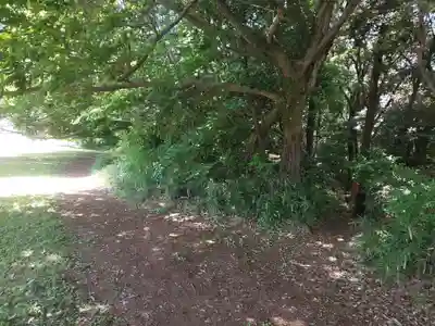有鹿神社奥宮の周辺