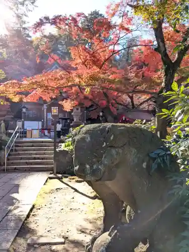 高幡不動尊　金剛寺(東京都)
