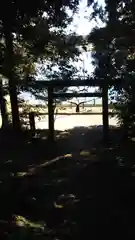 箱根神社の鳥居