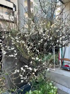 妙典寺の{uncategorized: "未分類", other: "その他", undefined: "問題あり", building: "その他建物", grave: "お墓", sacred_gate: "鳥居", guardian: "狛犬", statue: "像", buddha: "仏像", history: "歴史", nature: "自然", garden: "庭園", animal: "動物", pagoda: "塔", temizu: "手水舎", mountain_gate: "山門・神門", sanctuary: "本殿・本堂", subordinate: "末社・摂社", art: "芸術", scenery: "景色", jizo: "地蔵", ema: "絵馬", goshuin: "御朱印", omikuji: "おみくじ", items: "授与品その他", amulet: "お守り", goshuincho: "御朱印帳", eats: "食事", festival: "お祭り", votive_dance: "神楽", shichigosan: "七五三参", wedding: "結婚式", experience: "体験その他", initially: "初詣", around: "周辺", anti_infection: "感染症対策"}