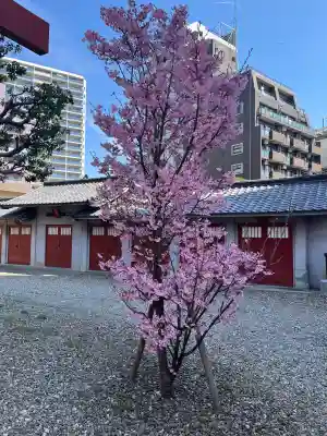 蒲田八幡神社の{uncategorized: "未分類", other: "その他", undefined: "問題あり", building: "その他建物", grave: "お墓", sacred_gate: "鳥居", guardian: "狛犬", statue: "像", buddha: "仏像", history: "歴史", nature: "自然", garden: "庭園", animal: "動物", pagoda: "塔", temizu: "手水舎", mountain_gate: "山門・神門", sanctuary: "本殿・本堂", subordinate: "末社・摂社", art: "芸術", scenery: "景色", jizo: "地蔵", ema: "絵馬", goshuin: "御朱印", omikuji: "おみくじ", items: "授与品その他", amulet: "お守り", goshuincho: "御朱印帳", eats: "食事", festival: "お祭り", votive_dance: "神楽", shichigosan: "七五三参", wedding: "結婚式", experience: "体験その他", initially: "初詣", around: "周辺", anti_infection: "感染症対策"}