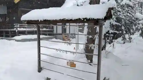 比布神社のおみくじ