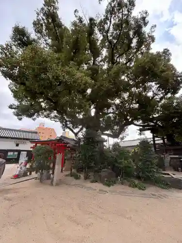 法楽寺の{uncategorized: "未分類", other: "その他", undefined: "問題あり", building: "その他建物", grave: "お墓", sacred_gate: "鳥居", guardian: "狛犬", statue: "像", buddha: "仏像", history: "歴史", nature: "自然", garden: "庭園", animal: "動物", pagoda: "塔", temizu: "手水舎", mountain_gate: "山門・神門", sanctuary: "本殿・本堂", subordinate: "末社・摂社", art: "芸術", scenery: "景色", jizo: "地蔵", ema: "絵馬", goshuin: "御朱印", omikuji: "おみくじ", items: "授与品その他", amulet: "お守り", goshuincho: "御朱印帳", eats: "食事", festival: "お祭り", votive_dance: "神楽", shichigosan: "七五三参", wedding: "結婚式", experience: "体験その他", initially: "初詣", around: "周辺", anti_infection: "感染症対策"}