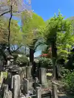 久成寺の{uncategorized: "未分類", other: "その他", undefined: "問題あり", building: "その他建物", grave: "お墓", sacred_gate: "鳥居", guardian: "狛犬", statue: "像", buddha: "仏像", history: "歴史", nature: "自然", garden: "庭園", animal: "動物", pagoda: "塔", temizu: "手水舎", mountain_gate: "山門・神門", sanctuary: "本殿・本堂", subordinate: "末社・摂社", art: "芸術", scenery: "景色", jizo: "地蔵", ema: "絵馬", goshuin: "御朱印", omikuji: "おみくじ", items: "授与品その他", amulet: "お守り", goshuincho: "御朱印帳", eats: "食事", festival: "お祭り", votive_dance: "神楽", shichigosan: "七五三参", wedding: "結婚式", experience: "体験その他", initially: "初詣", around: "周辺", anti_infection: "感染症対策"}