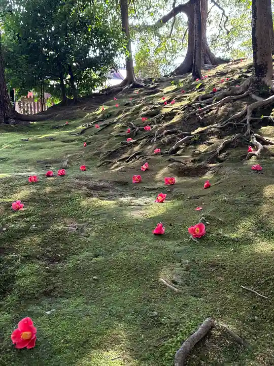 城南宮(京都府)