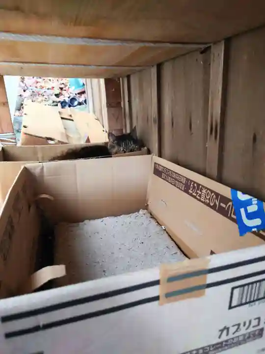 上岩出神社(和歌山県)