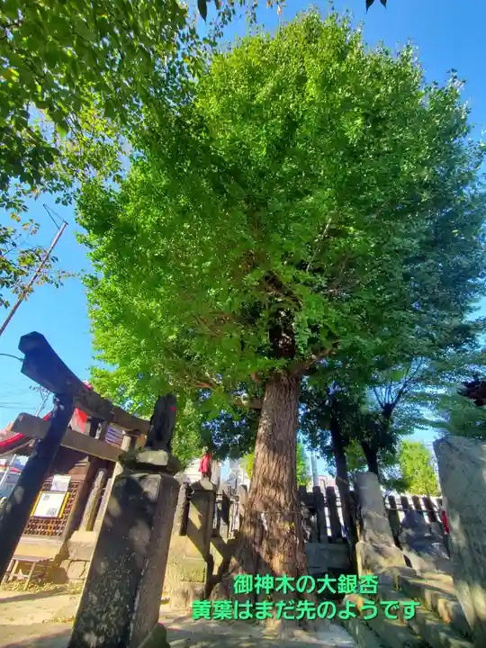 晴門田神社(福島県)