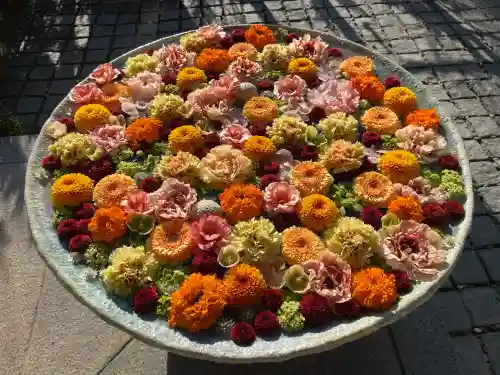 行田八幡神社の{uncategorized: "未分類", other: "その他", undefined: "問題あり", building: "その他建物", grave: "お墓", sacred_gate: "鳥居", guardian: "狛犬", statue: "像", buddha: "仏像", history: "歴史", nature: "自然", garden: "庭園", animal: "動物", pagoda: "塔", temizu: "手水舎", mountain_gate: "山門・神門", sanctuary: "本殿・本堂", subordinate: "末社・摂社", art: "芸術", scenery: "景色", jizo: "地蔵", ema: "絵馬", goshuin: "御朱印", omikuji: "おみくじ", items: "授与品その他", amulet: "お守り", goshuincho: "御朱印帳", eats: "食事", festival: "お祭り", votive_dance: "神楽", shichigosan: "七五三参", wedding: "結婚式", experience: "体験その他", initially: "初詣", around: "周辺", anti_infection: "感染症対策"}