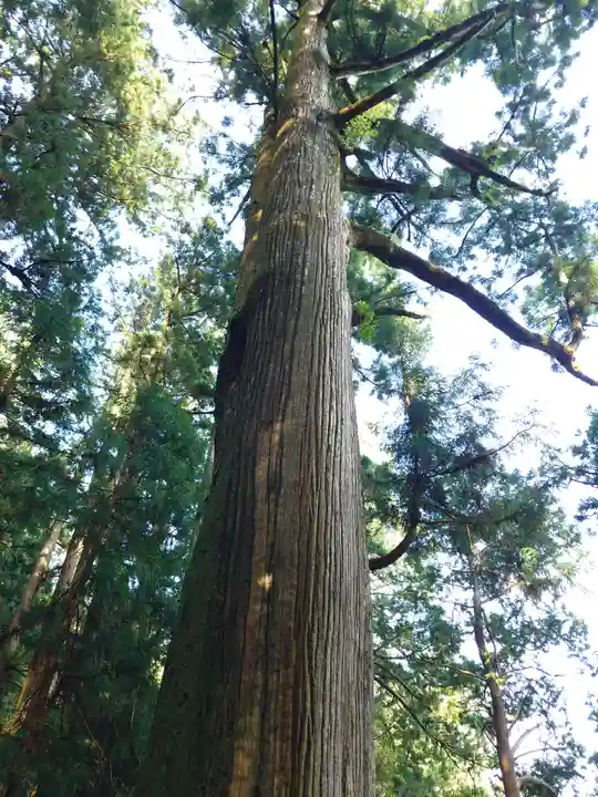 玉置神社(奈良県)