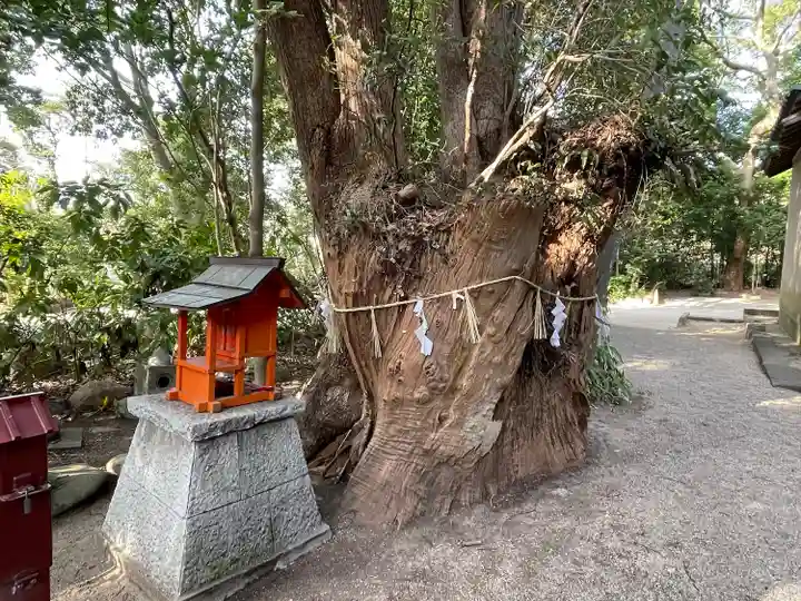 津八幡宮(三重県)
