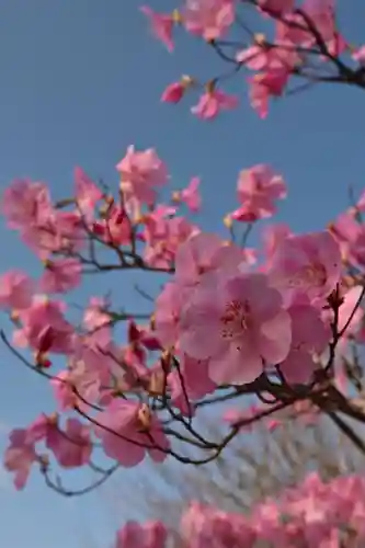 日光二荒山神社中宮祠(栃木県)