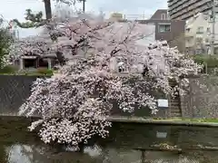 夙川延命地蔵の自然