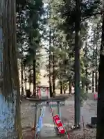 大宮温泉神社(栃木県)