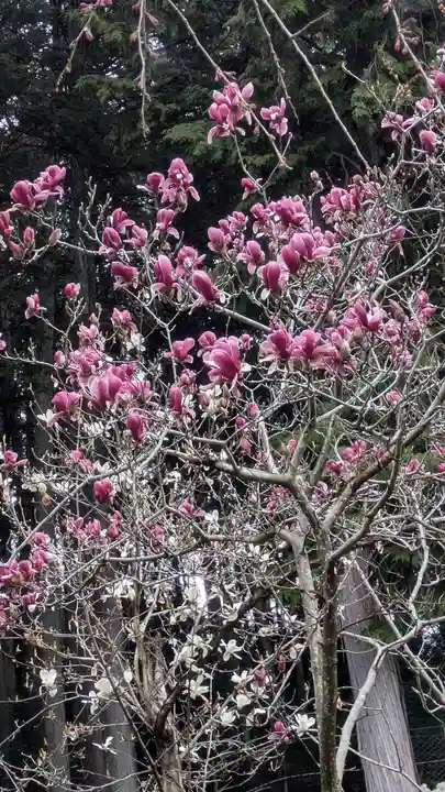石山寺(滋賀県)