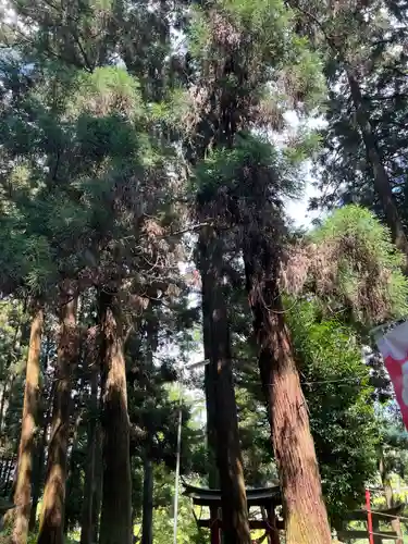 大宮温泉神社(栃木県)
