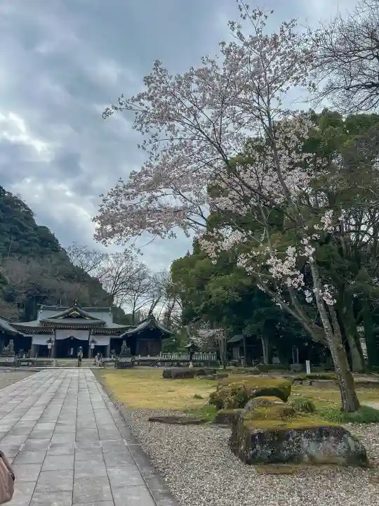 岐阜護國神社の{uncategorized: "未分類", other: "その他", undefined: "問題あり", building: "その他建物", grave: "お墓", sacred_gate: "鳥居", guardian: "狛犬", statue: "像", buddha: "仏像", history: "歴史", nature: "自然", garden: "庭園", animal: "動物", pagoda: "塔", temizu: "手水舎", mountain_gate: "山門・神門", sanctuary: "本殿・本堂", subordinate: "末社・摂社", art: "芸術", scenery: "景色", jizo: "地蔵", ema: "絵馬", goshuin: "御朱印", omikuji: "おみくじ", items: "授与品その他", amulet: "お守り", goshuincho: "御朱印帳", eats: "食事", festival: "お祭り", votive_dance: "神楽", shichigosan: "七五三参", wedding: "結婚式", experience: "体験その他", initially: "初詣", around: "周辺", anti_infection: "感染症対策"}