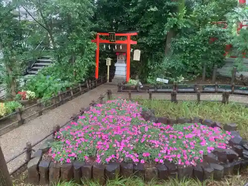 川越八幡宮(埼玉県)